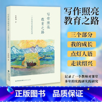 [正版] 写作照亮教育之路 一个草根语文教师的突围 朱胜阳 小学语文教师 教育理论 教师教学用书语文 教师专业发展 福