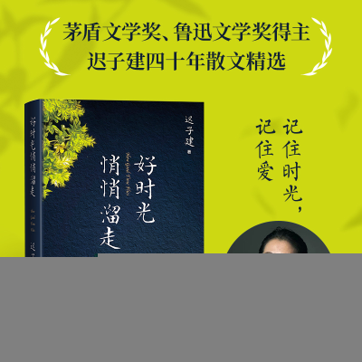 正版新书]好时光悄悄溜走迟子建 著9787020189908