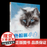 色粉画小白必读指南拿起你的色粉笔,学习如何使用这种令人兴奋的媒介,制作现代、生动和多彩的艺术品吧!