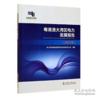 正版新书]粤港澳大湾区电力发展报告(2020年) 水利电力 南方电网