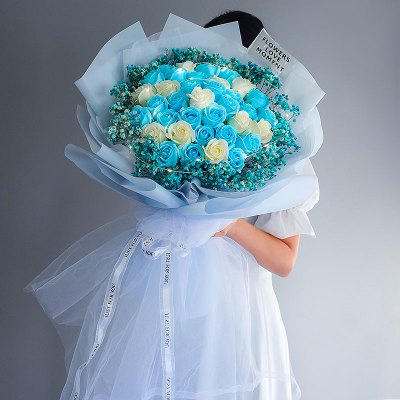33朵蓝色玫瑰价格 33朵蓝色玫瑰最新报价 33朵蓝色玫瑰多少钱 苏宁易购