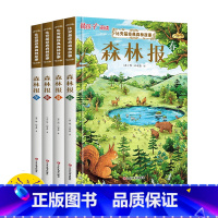 森林报全4册 [正版]比安基经典森林故事 森林报全套4册 春夏秋冬彩图版 自然科普故事书中小学生三四五六年级语文课外书籍