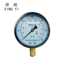 祥屹 耐震压力表 YTN100 0-0.6Mpa 块