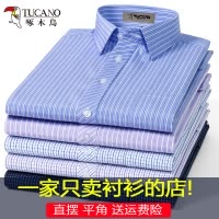 啄木鸟夏季薄款长袖衬衫男中年免烫条纹加大码老年人爸爸高棉衬衣