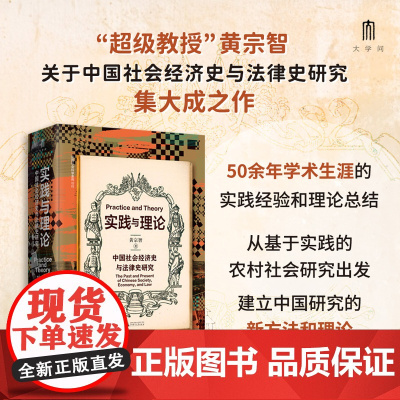 实践社会科学系列 实践与理论:中国社会经济史与法律史研究 黄宗智 著 广西师范大学出版社 正版书籍