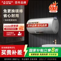 AO史密斯60升电热水器 专利免更换镁棒 金圭内胆 速热节能 纤美长款 大屏E60VC0 一级能效