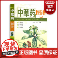 [7成新]中草药图谱(二) 徐鸿华主编 性味功能 验方用量 实用中草药彩图大全书 中草药全图鉴 本草纲目神农本草经