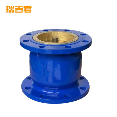 瑞吉君 消声止回阀 DN50 个