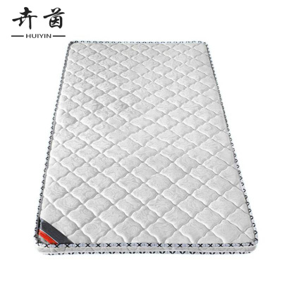 卉茵 椰棕床垫 1000*2000*100mm 张