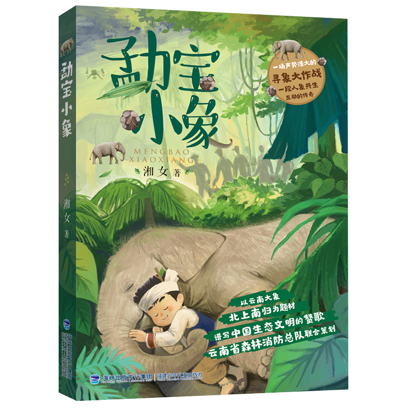 正版新书]勐宝小象湘女9787539577517