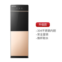 奥克斯饮水机立式冷热家用台式小型迷你制冷制热全自动桶装水新款 钛金色 冰温热