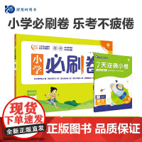 2024版理想树小学必刷卷一年级下册 语文 同步单元测试卷期中期末模拟冲刺卷专项辅导 人教版