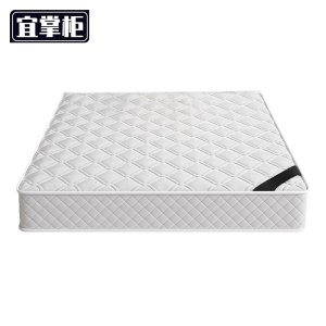 宜掌柜 椰棕床垫 200*90cm 张