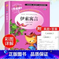 伊索寓言 [正版]绿野仙踪三四年级课外书必读老师的快乐读书吧木偶奇遇记二年级上册下册课外阅读书籍秘密花园绿山墙的安妮小学