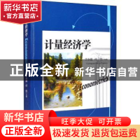 正版 计量经济学 于永娟,何悦 经济管理出版社 9787509677216 书