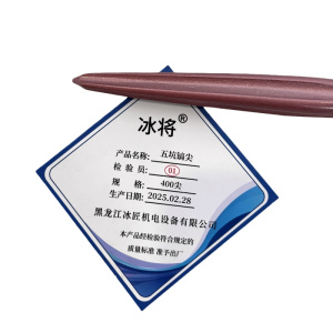 冰将 五坑镐尖电锤尖扁凿子冲击钻头 个