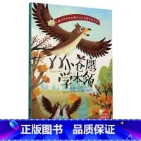 小苍鹰学本领 [正版]儿童自然科学启蒙和生命启蒙教育绘本10册精装硬壳硬皮绘本3-6岁宝宝幼儿园早教性格培养图画故事书非