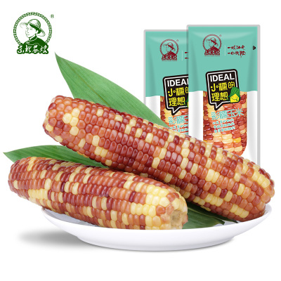 东北农嫂花糯玉米8袋彩糯粘黏玉米粒真空儿童装早餐杂粮