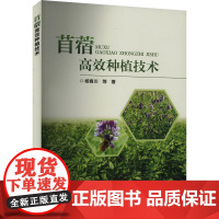 苜蓿高效种植技术 杨青川 编 9787511665867 中国农业科学技术出版社