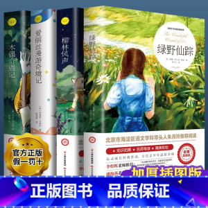 [原著正版]绿野仙踪+柳林风声+爱丽丝+木偶奇遇记 [正版]绿野仙踪原著三四五六年级上下册中小学生初中生青少年版课外阅读