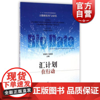 汇计划在行动/大数据技术与应用 十二五国家重点图书出版规划项目 吴俊伟 开山之作 先进技术 工业技术 上海科技 世纪出版