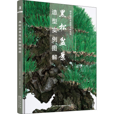 黑松盆景造型实例图解