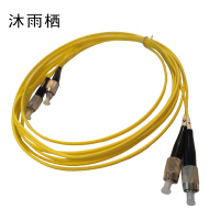 沐雨栖 双尾光纤线 2mm-5v 条