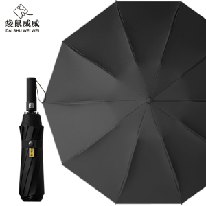袋鼠威威 全自动晴雨伞125CM MD016