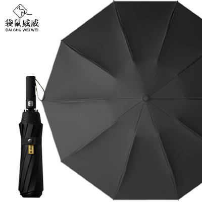 袋鼠威威 全自动晴雨伞125CM MD016