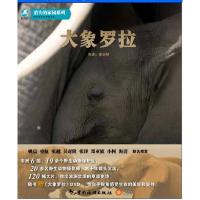 正版新书]大象罗拉(随书赠大象罗拉DVD光盘) [7-10岁]霍小绿97