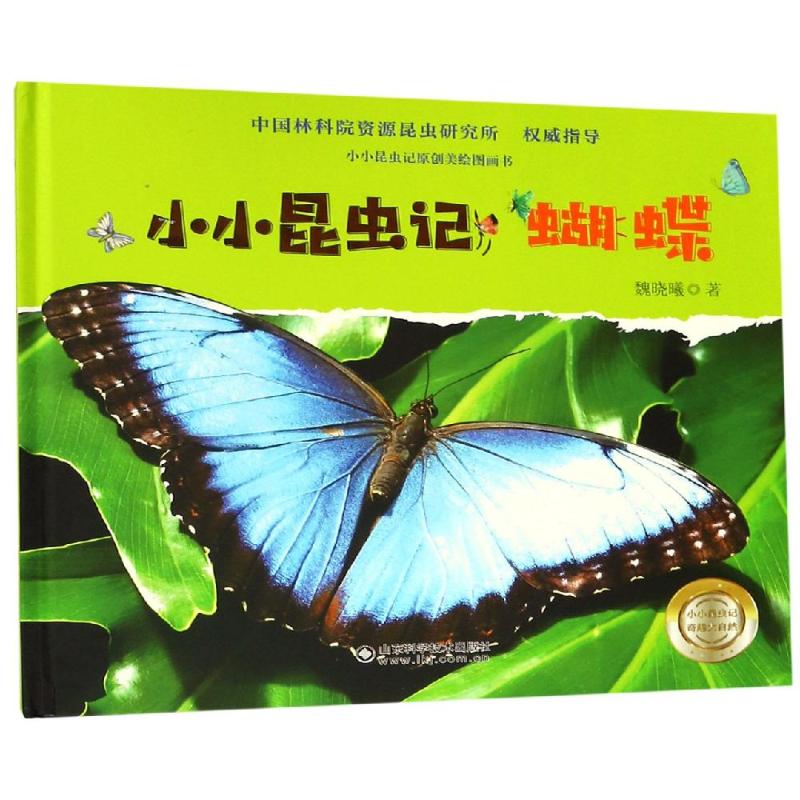 正版 小小昆虫记:蝴蝶 6-9-12岁少儿童启蒙益智动物昆虫认知科普绘本