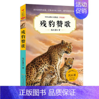 残豹赞歌 [正版]中外动物小说精品(升级版第七辑)·残豹赞歌 沈石溪动物小说系列 三四五六年级小学生阅读课外书非必读书籍