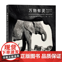 万物有灵 国际野生生物摄影年赛第51届获奖作品 罗莎蒙德·基德曼·考克斯 著 摄影