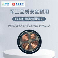 秦源牌ZR-YJV22-0.6/1KV-3*50+1*25mm² 阻燃铜芯钢带铠装电力电缆 元/米 定制商品联系客服