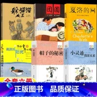 [全套六册]三年级必读课外书(如图) [正版]柔软的阳光三年级必读的课外书写给童年的诗金波著江苏少年儿童出版社躲猫猫大王