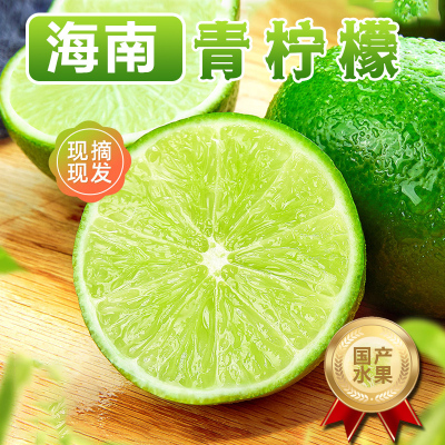 [熊猫鸟]海南香水青柠檬 净重4.5斤 新鲜应当季水果香水黄鲜柠檬奶茶店专用 坏果包赔