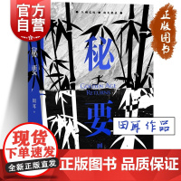 秘要 鲁迅文学奖得主田耳作品集历史传奇武侠黑书长篇易烊千玺钟爱的作家上海文艺出版社中国当代文学小说另著一个人张灯结彩