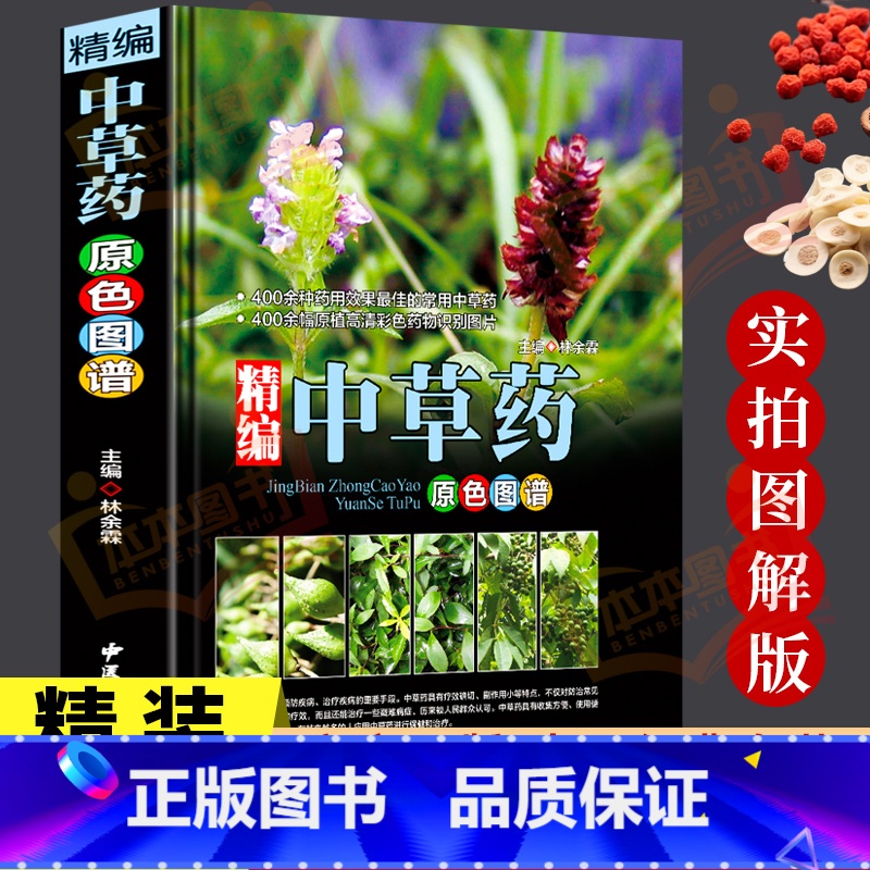 中草药+黄帝内经 [正版]中草药彩图大全书精编中国药典中药原色图谱图鉴图谱中国药材图鉴中医学书籍中药材大全常用中草药识别