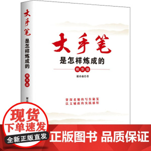 大手笔是怎样炼成的 精华版谢亦森 著WX