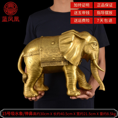 家柏饰(CORATED)铜象摆件铜大象象一对吸水象特大号铜象工艺品 15号吸水象直鼻单只