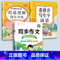 同步作文+看拼音+阅读理解 二年级上 [正版]小学语文专项训练一年级练习册全套看拼音写词语二年级上册三四五六年级天天练人
