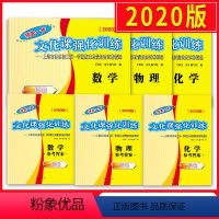[正版] 2020版上海中考一模卷 领先一步文化课强化训练 数学物理化学 试卷+答案中西书局 2020年一模卷 上