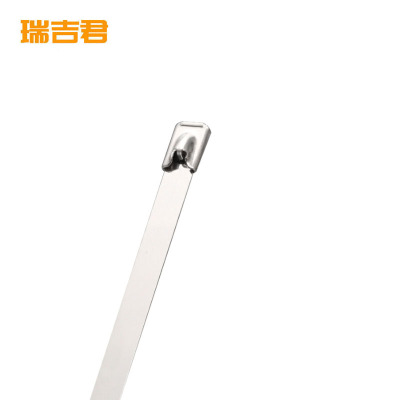 瑞吉君 304不锈钢自锁式扎带 9*1600*0.5mm长 条