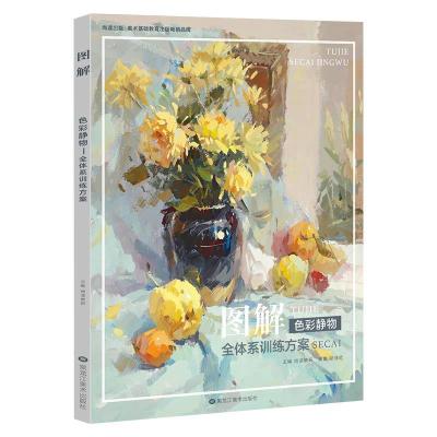 正版新书]图解:色彩静物全体系训练方案尚读教研主编9787559349