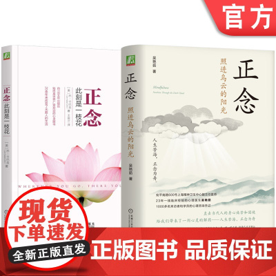 正念 此刻是一枝花+正念 照进乌云的阳光 套装全2册 正念减压认知疗法 心理咨询 疗愈 焦虑 抑郁 心灵疗愈心理学