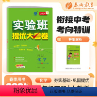 化学 九年级下 [正版]2024春实验班提优大考卷九年级下册化学人教版初中同步测试卷期中期末达标练习全套讲解中学尖子生题