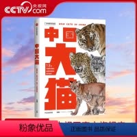[正版]央视网中国大猫 吕植著中国国家地理科普读物 猫图鉴猫百科全书猫科生物图鉴猫科动物图鉴出版社DL