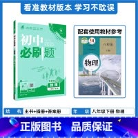 [人教版]物理 八年级下 [正版]2025新版初中八年级下册物理 上册初二八下物理同步练习题辅导资料RJ人教版物理下题库