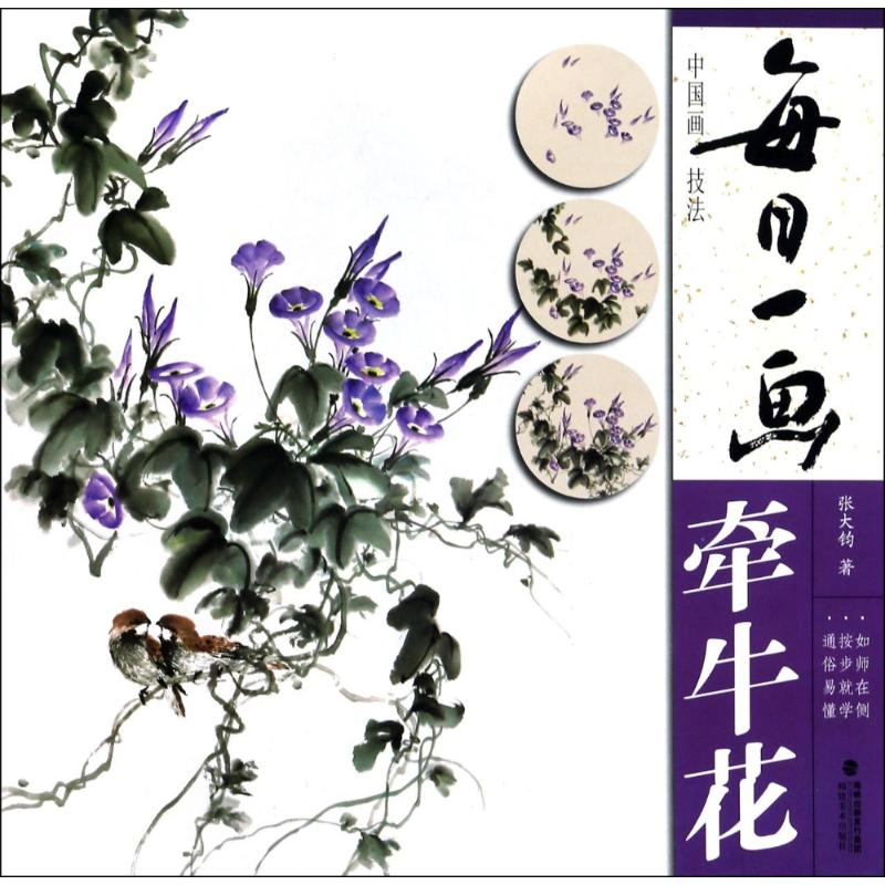 音像中国画技法:牵牛花/每日一画张大钧