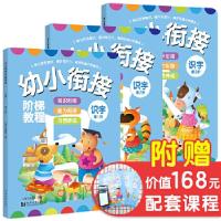 正版新书]识字-幼小衔接阶梯教程(套装全3册) 幼升小 入学准备